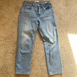 Everlane cheeky jeans